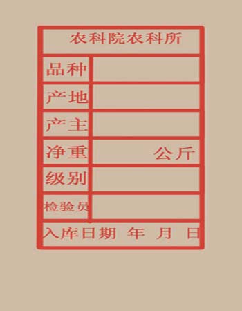 ���Ӵ�