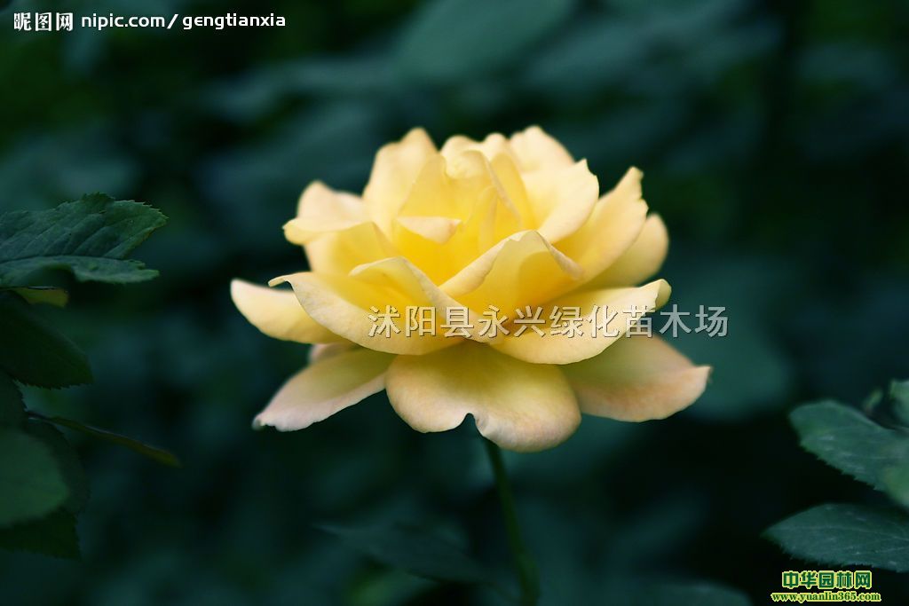 �¼����ٱ��¼���Ǿޱ