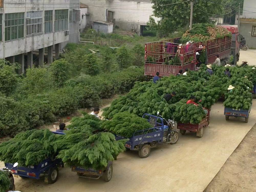 ����������Բ���硢���������������硢��̩������������