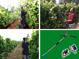 12��﮵��͵綯������֦��