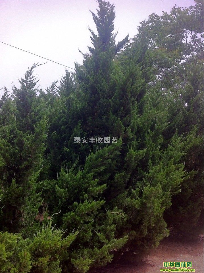 �����硢��������������