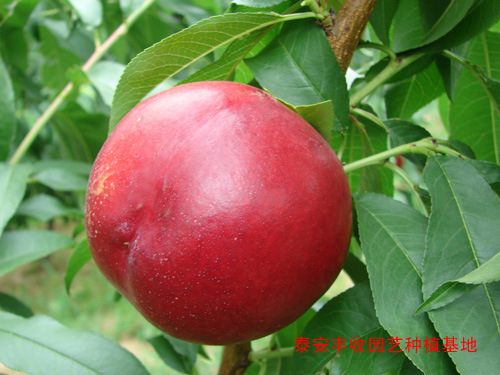�����硢�ַ���������