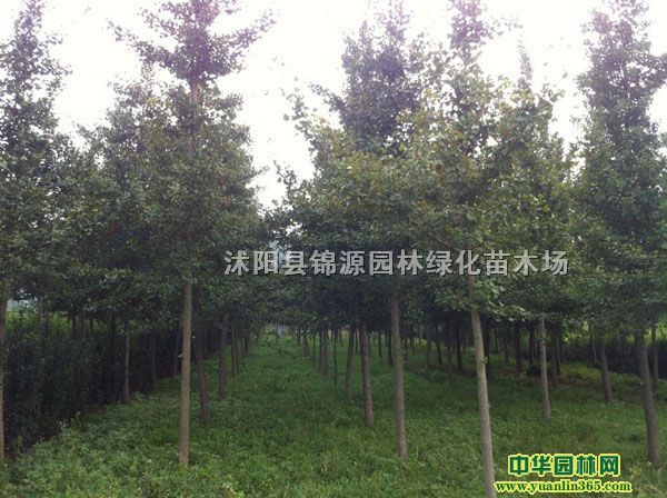 һ�����������޽����ӡ�ʵ������