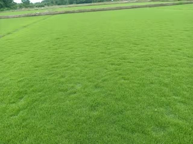 ̨���ƺ