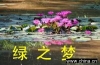 ����ˮ������13905240862