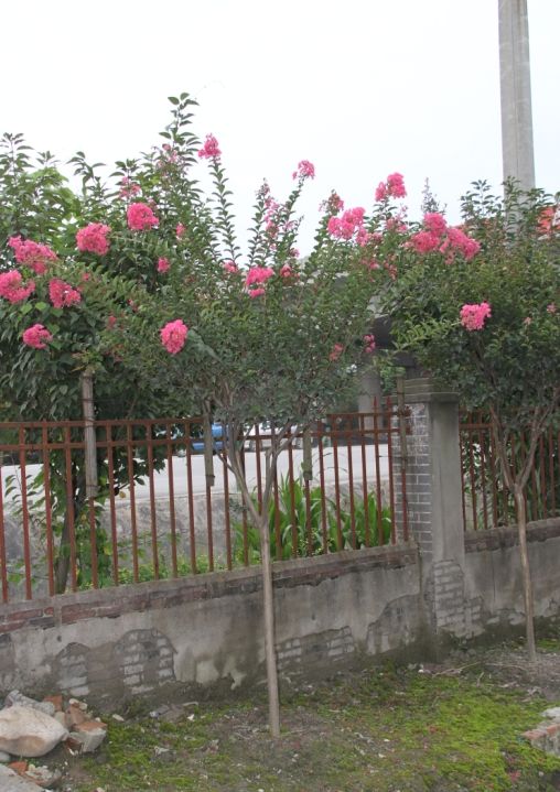 �컨��ޱ��������ޱ����ޱС��