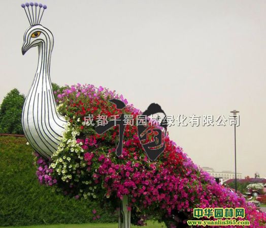 �ɶ������̵���ܶ��Ƴ���ǧ������