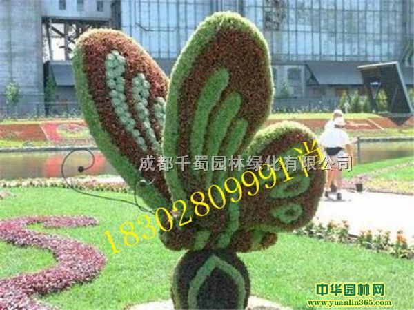 �Ĵ��ɶ���ɫ���ܳ��ҡ������̵����͡�������ܼ۸�