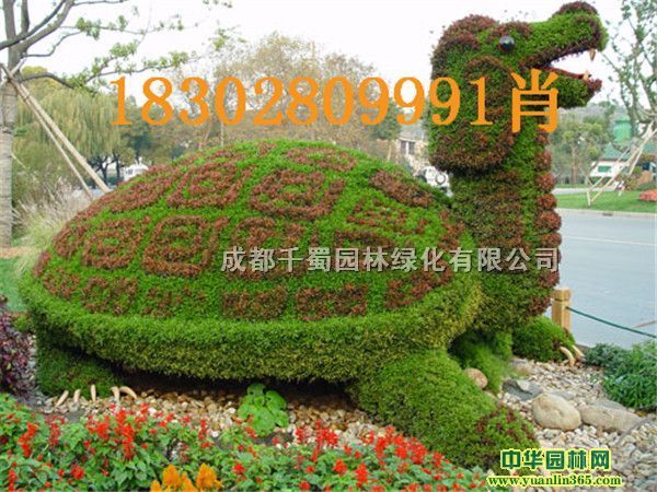 �ɰ��Ķ����̵����͡�����ֲ����ܳ���