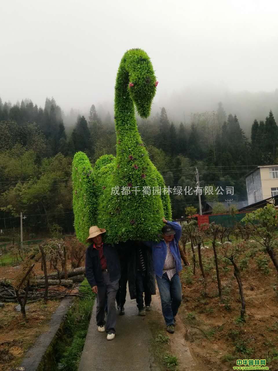 �ɶ�������ɫ�������͹�˾ǧ���յ������ͳ���