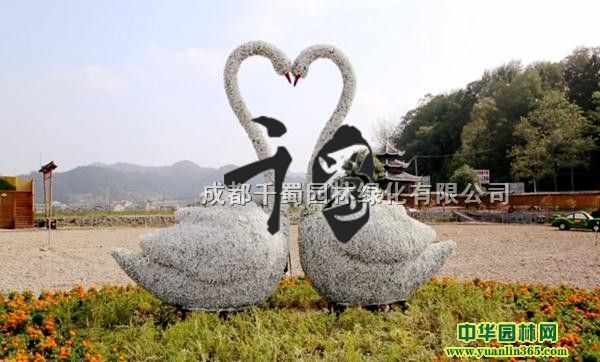 ��������֬���ͳ��ҡ�ֲ�������ܳ���ֱ����������
