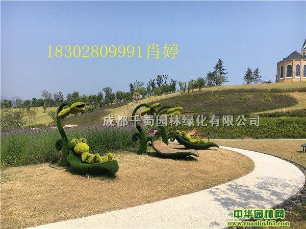 ���ĵķ����̵����ͳ��ҡ������ĵ�����������