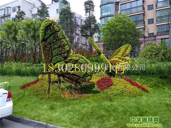 �Ĵ��ɶ����ܳ���������ɫ�������ͷ����������