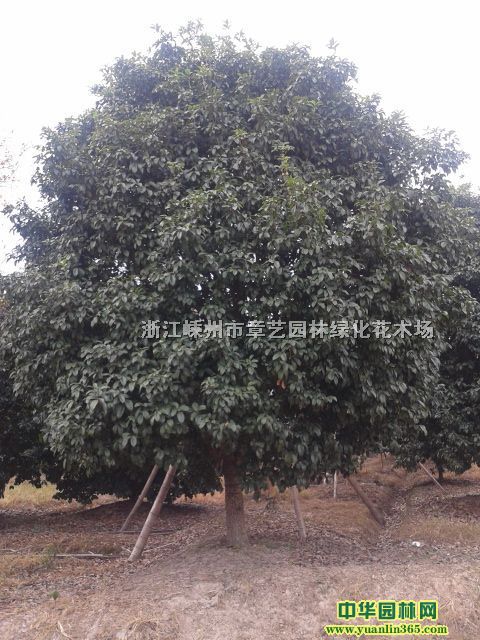 �ļ���100-500�ڷ�