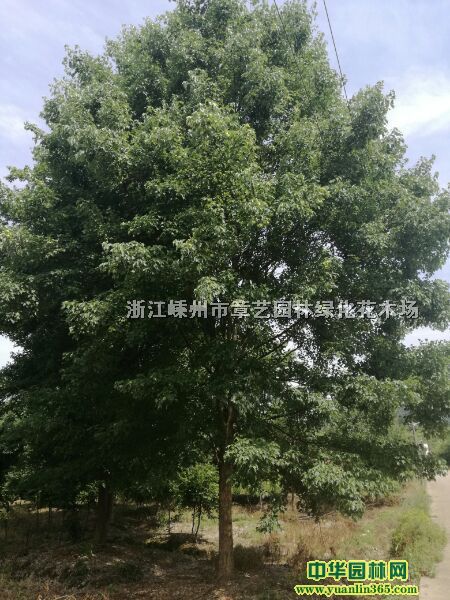 ���Ƿ�1-25���֡����Ƿ���صȹ�����