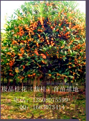 �������硢Ǥ����