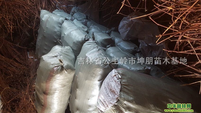 �����硢�޷�������