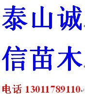 �����������˾�Ӫ�ߣ�