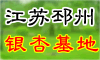 �����и������캣���ӻ���